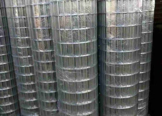 Listrik Galvanis 100 X 50 Welded Mesh Warna Cerah Dan Permukaan Halus